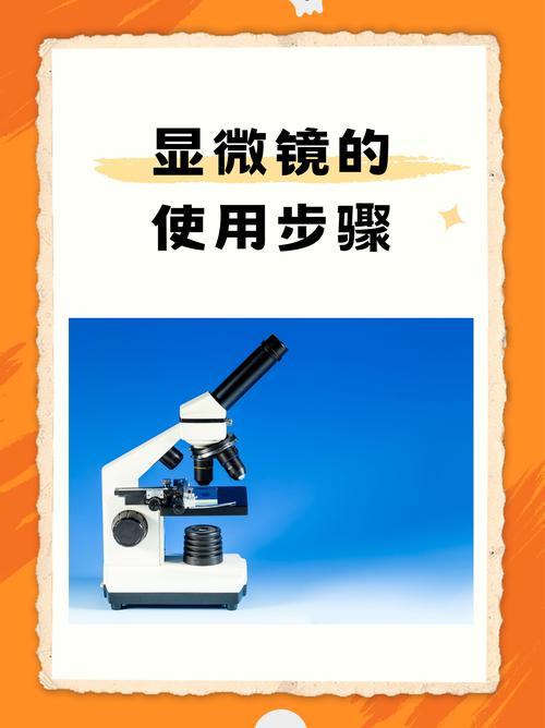事物的秘密在线观看_事物的秘密在线观_观看事物在线秘密网站