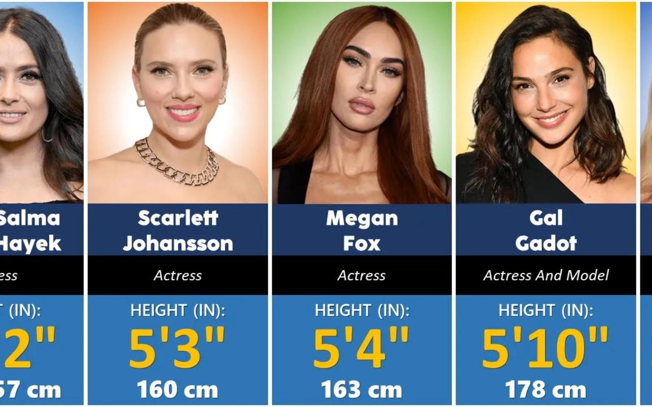 女明星身高 美国_身高女明星_美国身高181cm明星