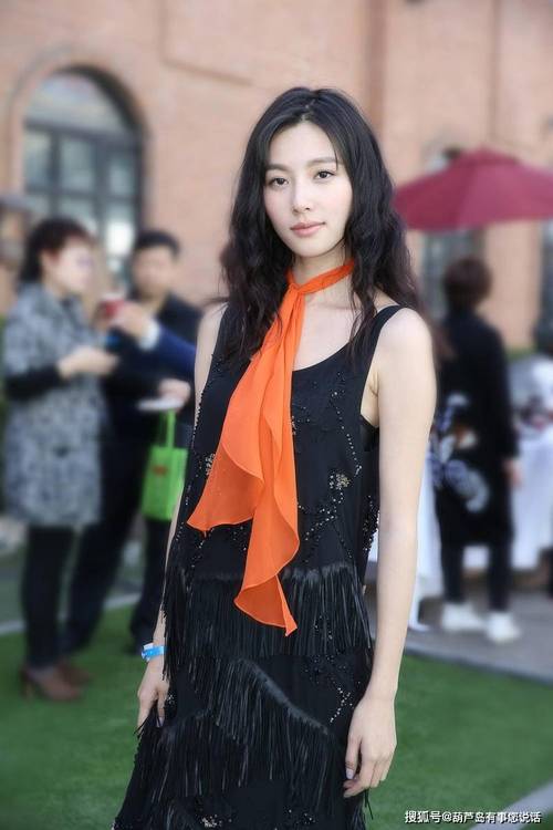 陈雅婷的年龄_女明星陈雅婷_雅婷明星陈女士简介