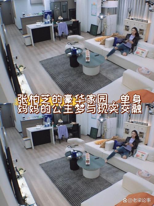 送明星豪宅背后，不过是子女想让爸妈过得舒服点